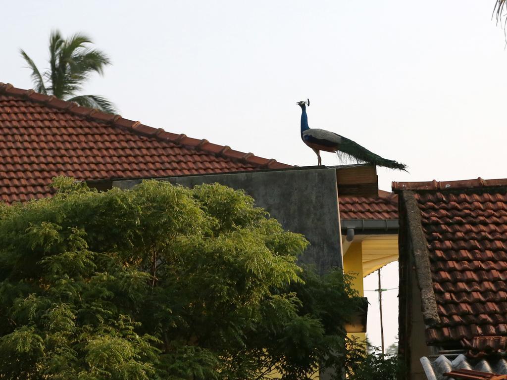 Sethun House Hotel Mirissa Luaran gambar